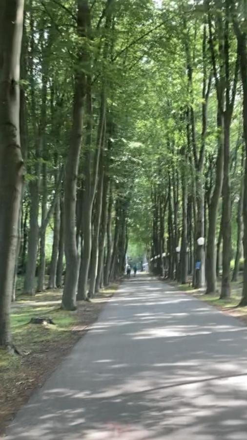 Vakantie Villa Hengelhoef Zonhoven Bagian luar foto